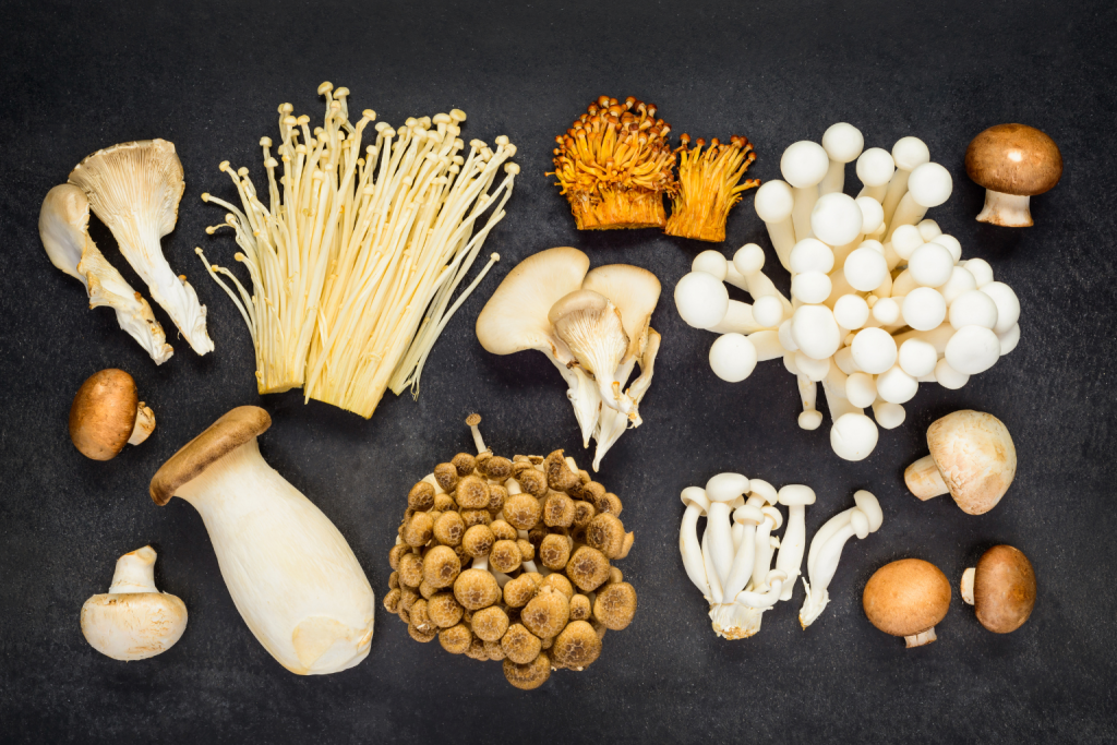 mushrooms for skin health and anti-aging